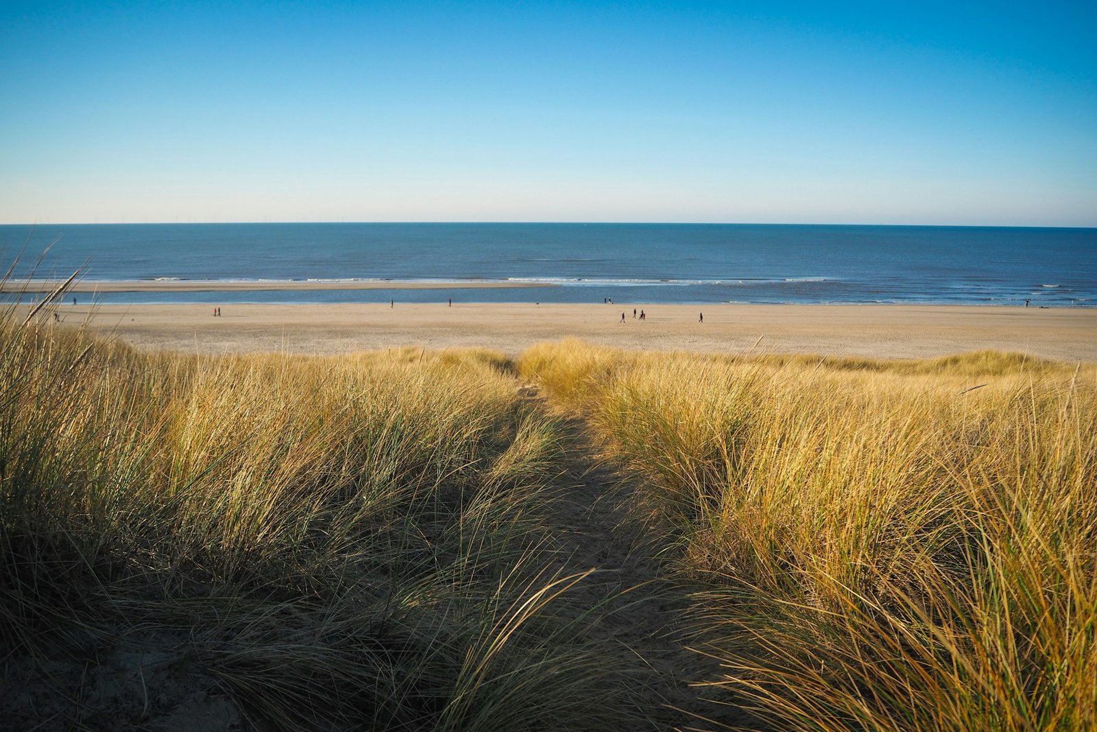 Strand Egmond aan Zee